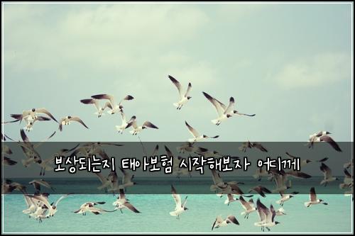 ๋ณด์๋๋์ง ํ์๋ณดํ ์์ํด๋ณด์ ์ด๋๊ป