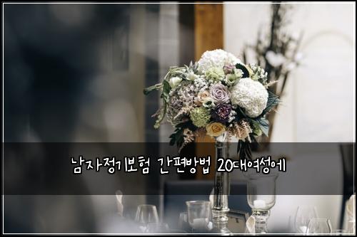 남자정기보험 간편방법  20대여성에