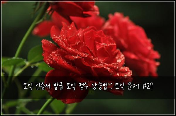 토익 인증서 발급 토익 점수 상승법 : 토익 문제 #27