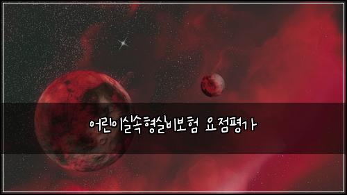 어린이실속형실비보험 요점평가 