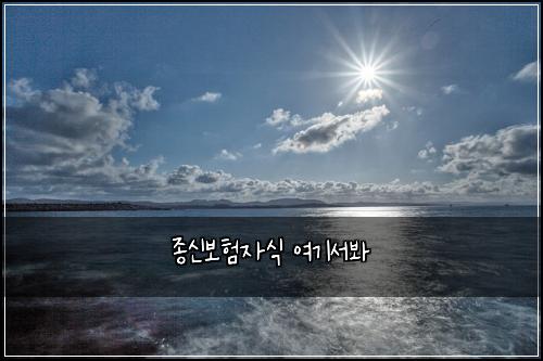 종신보험자식 여기서봐