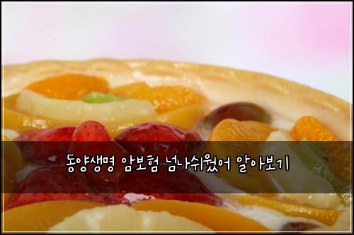 λμμλͺ
μ보ν λλμ¬μ μ΄ μμ보기