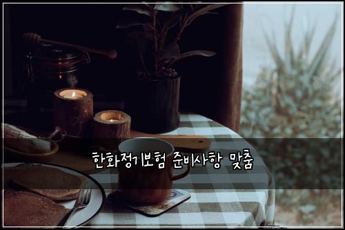 한화정기보험 준비사항  맞춤