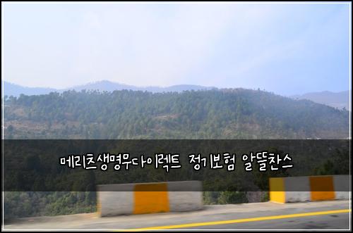 메리츠생명무다이렉트 정기보험 알뜰찬스 