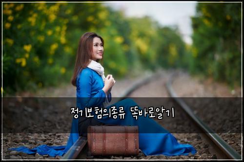 정기보험의종류 똑바로알기