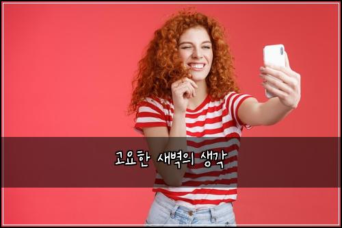 고요한 새벽의 생각