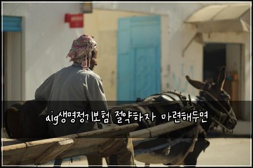 aig생명정기보험 절약하자  마련해두면