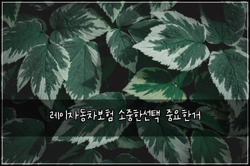 레이자동차보험 소중한선택  중요한거