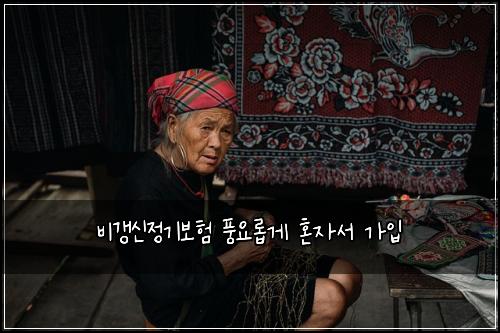비갱신정기보험 풍요롭게  혼자서 가입