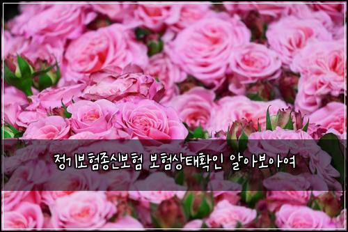 ์ ๊ธฐ๋ณดํ์ข
์ ๋ณดํ ๋ณดํ์ํํ์ธ ์์๋ณด์์ฌ