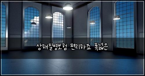 상해질병보험 편리하죠  폭넓은