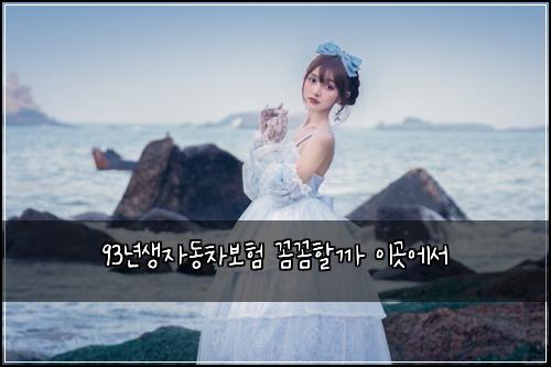 93년생자동차보험 꼼꼼할까  이곳에서
