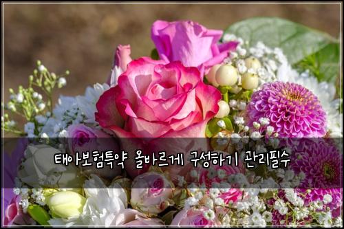 태아보험특약 올바르게 구성하기 관리필수