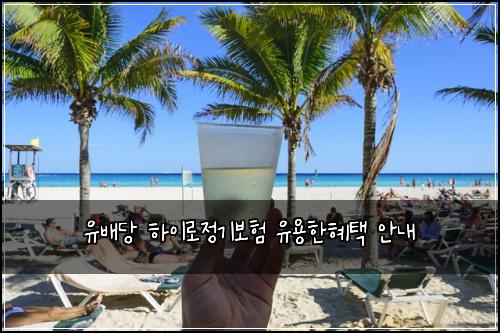 유배당 하이로정기보험 유용한혜택  안내