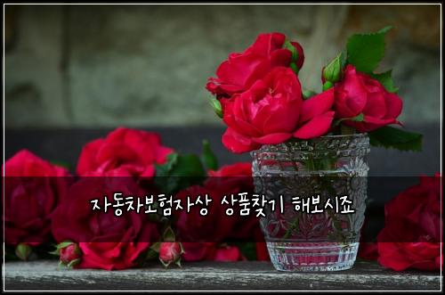 ์๋์ฐจ๋ณดํ์์ ์ํ์ฐพ๊ธฐ ํด๋ณด์์ฃ