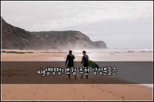 aig생명정기보험 추천  남성분들은