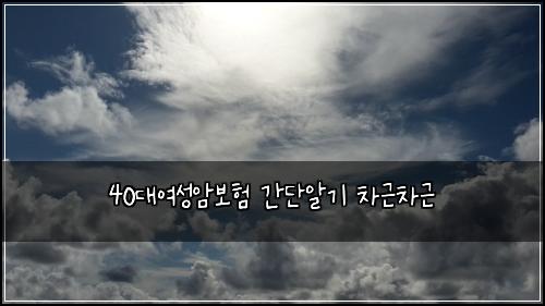 40λμ¬μ±μ보ν κ°λ¨μκΈ° μ°¨κ·Όμ°¨κ·Ό