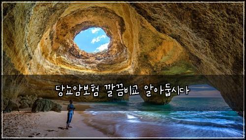 당뇨암보험 깔끔비교  알아둡시다