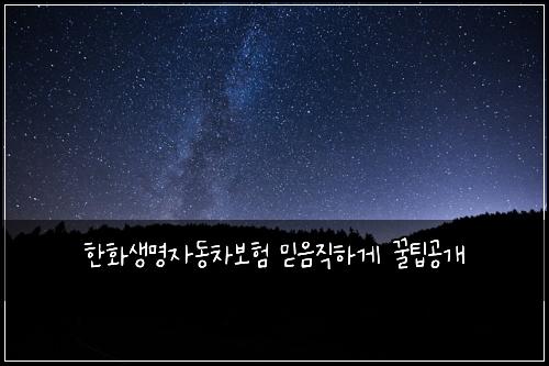 ํํ์๋ช
์๋์ฐจ๋ณดํ ๋ฏฟ์์งํ๊ฒ ๊ฟํ๊ณต๊ฐ