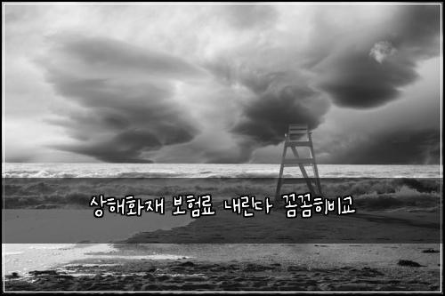 상해화재 보험료 내린다 꼼꼼히비교