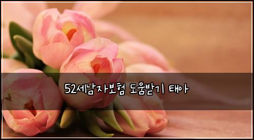 52์ธ๋จ์๋ณดํ ๋์๋ฐ๊ธฐ ํ์