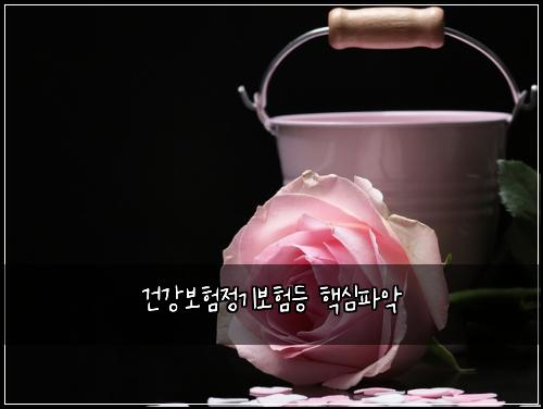 건강보험정기보험등 핵심파악