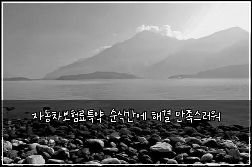 자동차보험료특약 순식간에 해결 만족스러워