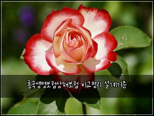 ํฅ๊ตญ์๋ช
๋ณดํ์ํด๋ณดํ ๋น๊ต์ ๋ฆฌ ์ค๊ณ๊ธฐ์ค