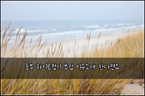 동부 하이로정기 보험 이유소개  한다면요