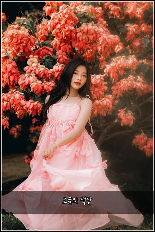 오늘의 색상