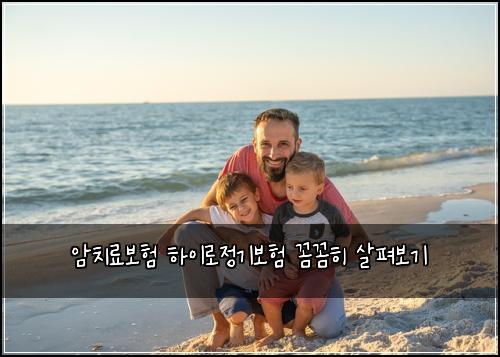 암치료보험 하이로정기보험 꼼꼼히 살펴보기