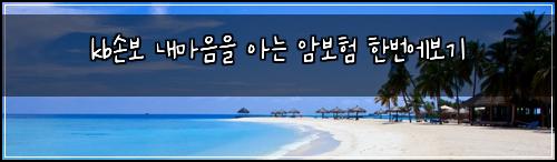 kb손보 내마음을 아는 암보험 한번에보기 