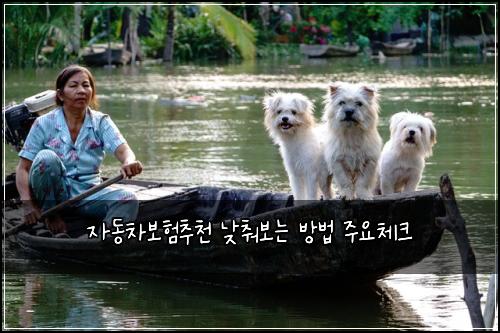 자동차보험추천 낮춰보는 방법 주요체크