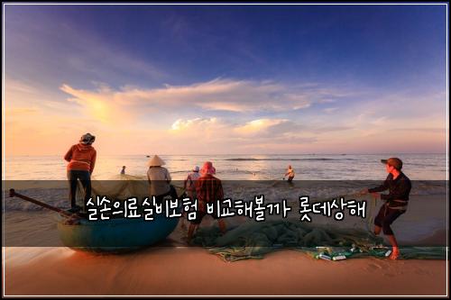 실손의료실비보험 비교해볼까  롯데상해