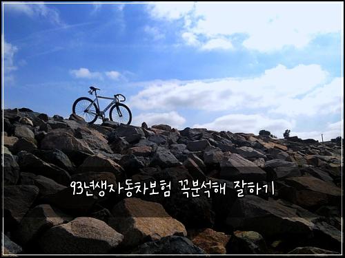 93๋
์์๋์ฐจ๋ณดํ ๊ผญ๋ถ์ํด ์ํ๊ธฐ