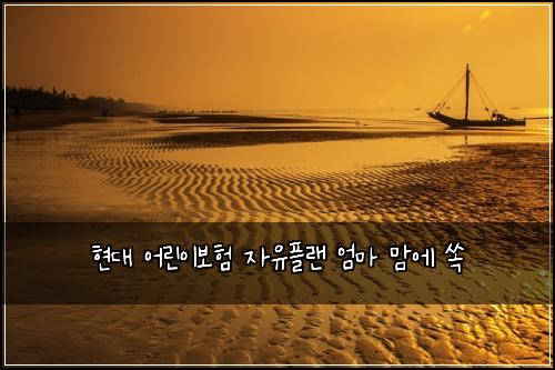 현대 어린이보험 자유플랜  엄마 맘에 쏙