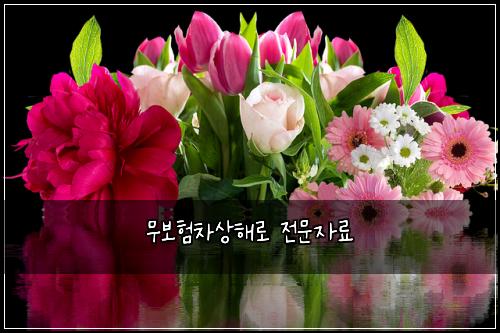 무보험차상해로 전문자료