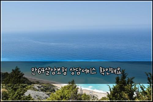 ๋ง64์ด์๋ณดํ ์๋ด์๋น์ค ํ์ธํด์
