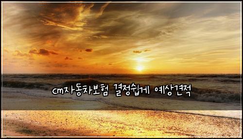 cm์๋์ฐจ๋ณดํ ๊ฒฐ์ ์ฝ๊ฒ ์์๊ฒฌ์ 