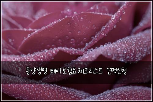 동양생명 태아보험요체크리스트 견적신청