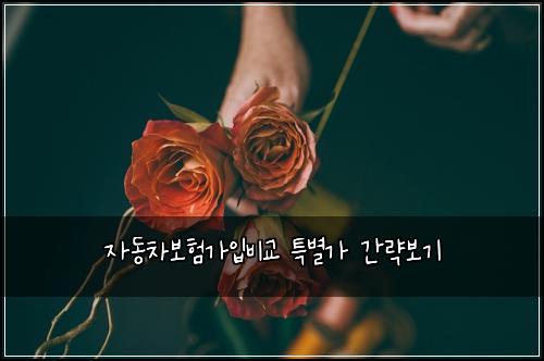 자동차보험가입비교 특별가 간략보기