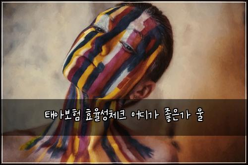 태아보험 효율성체크  어디가 좋은가 울