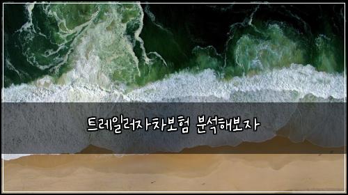 트레일러자차보험 분석해보자 