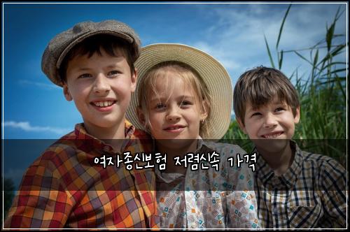 여자종신보험 저렴신속  가격