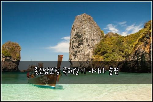종신암보험 특혜알기  나이가 들면