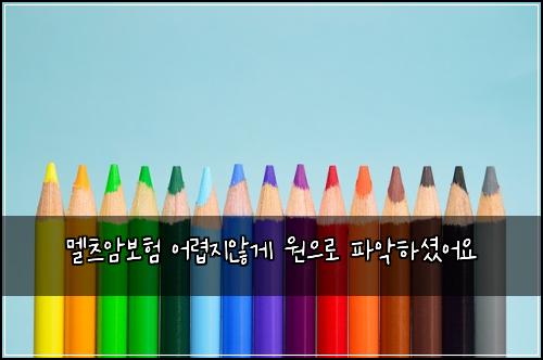 멜츠암보험 어렵지않게  원으로 파악하셨어요