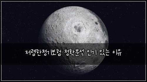 저렴한정기보험 정확분석  인기 있는 이유