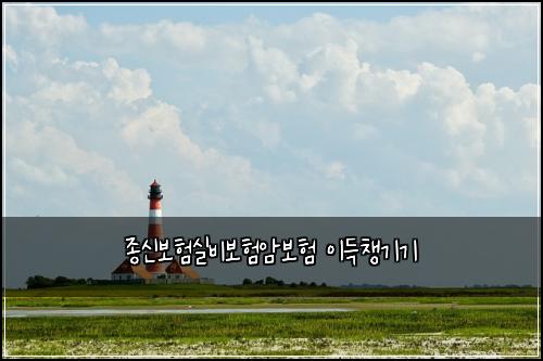 종신보험실비보험암보험 이득챙기기