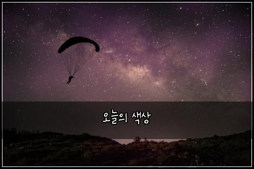 오늘의 색상