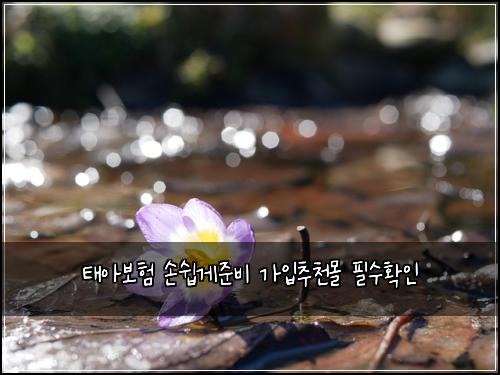 태아보험 손쉽게준비  가입추천몰 필수확인